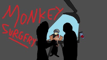 Monkey Surgery SS13
