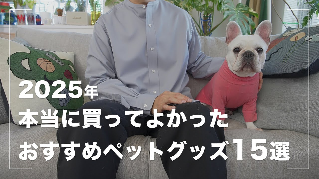 【2025年ベストバイ】愛犬のために買ってよかったおすすめ犬グッズ15選