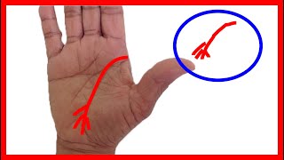 6 내 손금에 있으면 재물운 대박나는 손금  한 곳에 가만히 있으면 병나는 타입