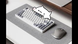 Bongo Cat Meme But On An Actual Keyboard