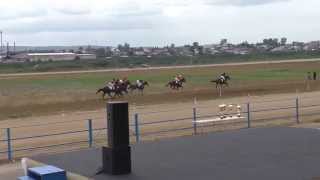 Скачка для лошадей 3 и стр. возраста-Емельяново 15.08.2015(Horse–Animal-racing-конь-смотреть-онлайн) Скачка для лошадей 3 и стр. возраста-Емельяново 15.08.2015(Horse–Animal-racing-конь-смотреть-онлайн)