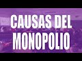 Causas de origen del monopolio