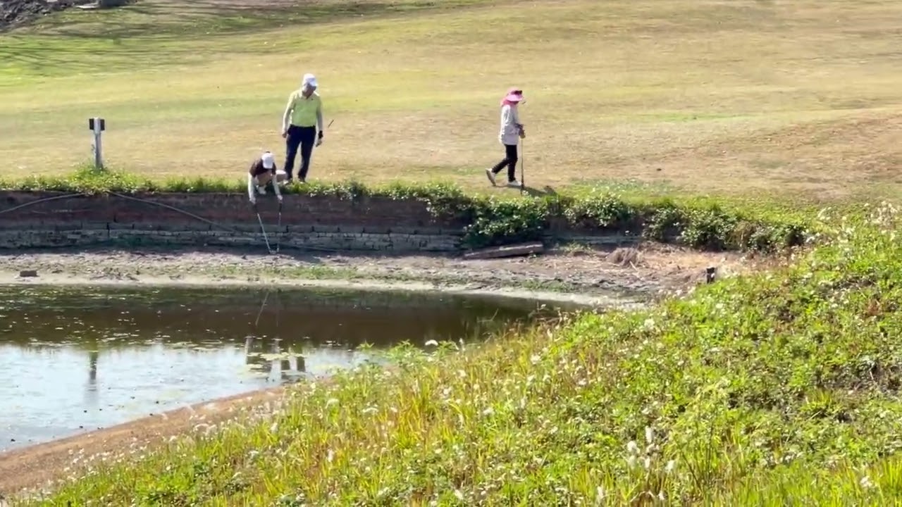 鴻禧太平高爾夫球場20260222太平傑人高爾夫球隊新春球敘～《最真的夢》《一生所愛》《小白鷺》