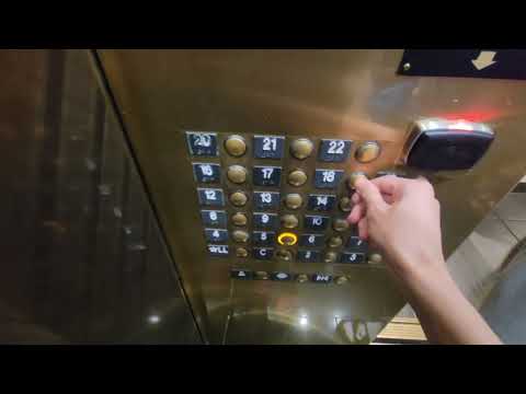 🔴 LIVE ROULETTE |🔥 Exclusive Sunday In Las Vegas Casino 🎰 BIG WIN ✅ 2025-08-10