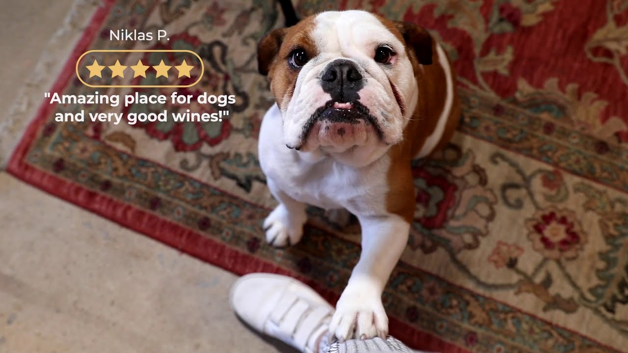 Coomber Craft Wines Google reviews