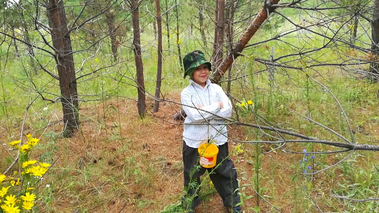 💝ЭТО АЛТАЙСКИЕ ПРОСТОРЫ💝ЭТО РОДИНА МОЯ💝 - YouTube