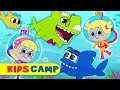 Shark Swim Swim Song + More Nursery Rhymes & Kids Songs by Kidscamp