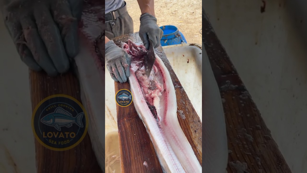 Awesome conger eel cutting skills! #foryou #fish #fishfillet #skills
