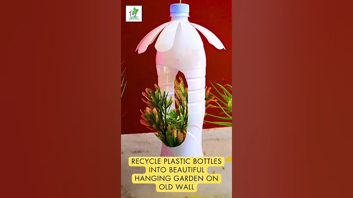 Recycle Plastic Bottles into Beautiful Hanging Garden shorts #recycle #plasticbottles #hanging #pots