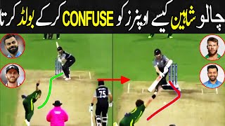 Shaheen Cleverly Clean Bold His Enemies🔥🔥| Top 10 Wicket Of Shaheen Shah Afridi| Best Wicket Shaheen