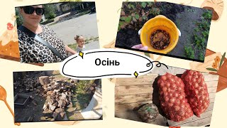 МедОгляд перед садочком/Хробак атакує/Заготівля дров/Почалися болячки