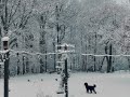 Snow Is Falling Chloe Ament Snow Is Falling Chloe Ament