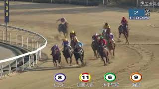 20171209 Yulong Class 5 (Under 45) 1100m (Race 2) 玉龙国际赛马公开赛D22 第2场玉龙常规赛五班赛事（45分以下）1100米