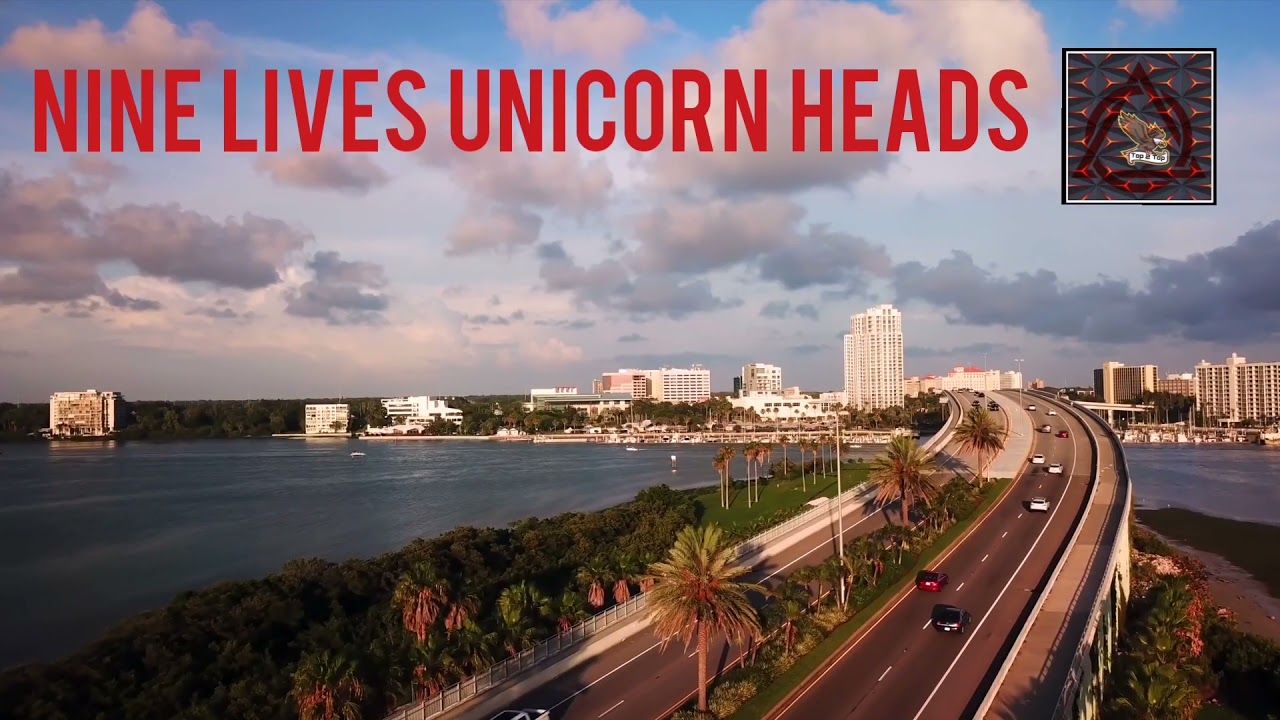 Unicorn heads Nine lives [TOP2TOP]