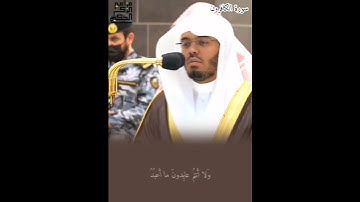 سورة الكافرون للشيخ أ.د.ياسر الدوسري
