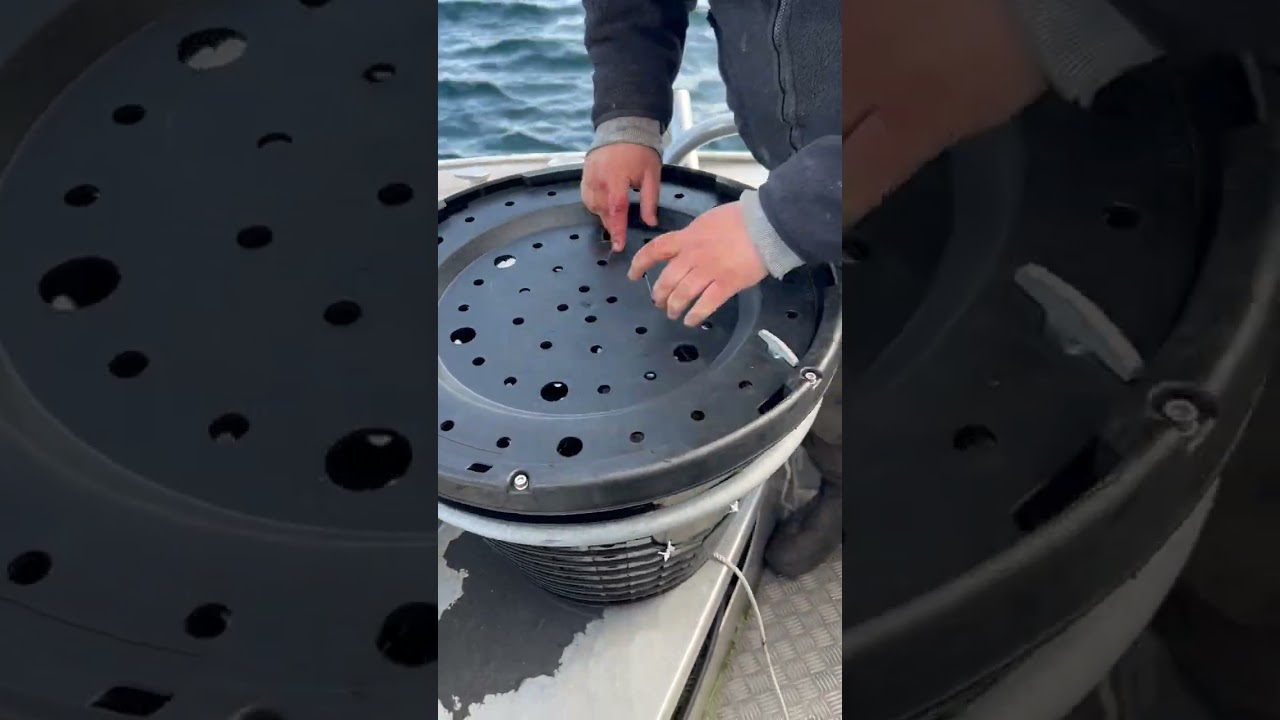 A different form of fishing... 🦀🎣🇳🇴