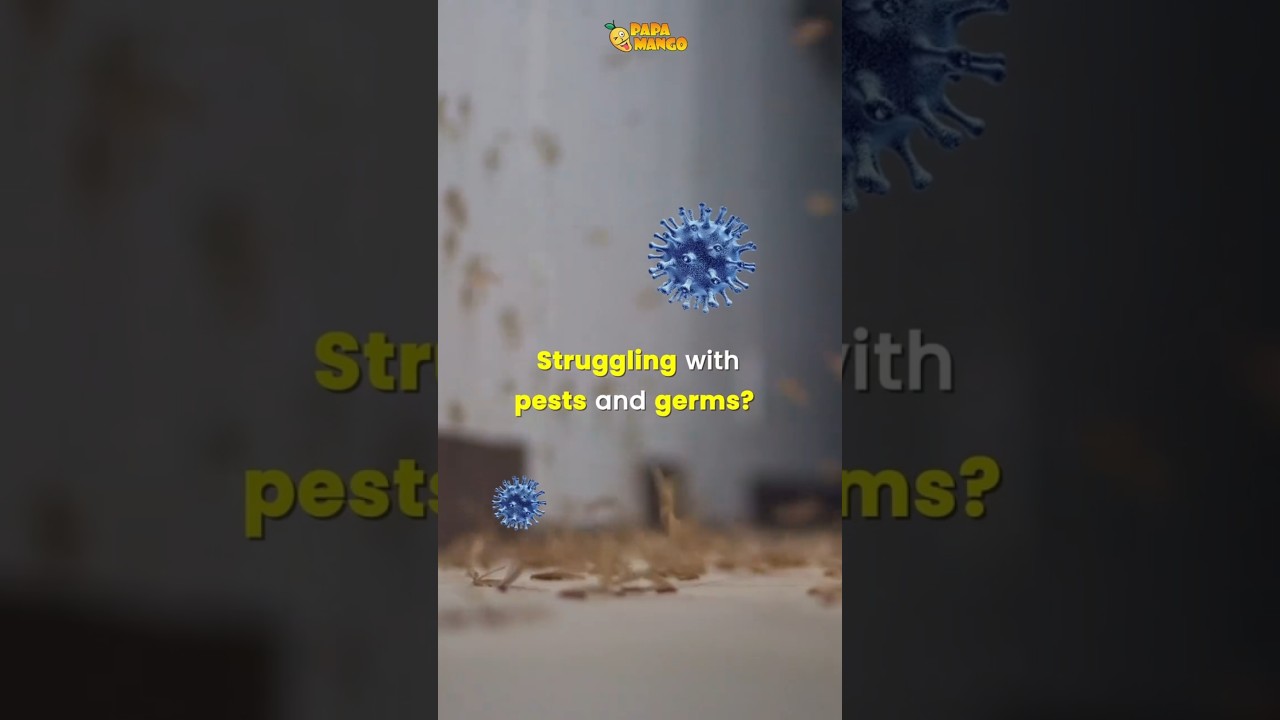 Papa Mango—your ultimate pest control expert! 