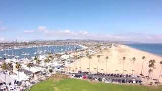 Seagull Attacks DJI Phantom Drone
