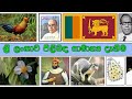       general knowledge about sri lanka  sri lankawa pilibada samanya