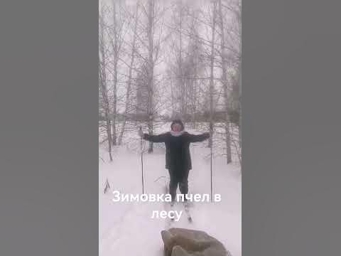кассетный павильон #Берендей - YouTube