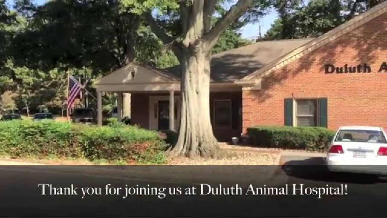 Duluth Animal Hospital's About Us YouTube