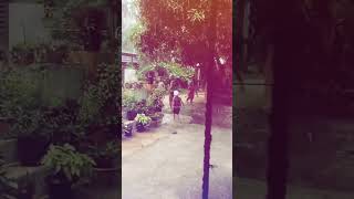 Download Lagu Kerala monsoon 2024 #kids #fun MP3