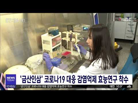 금산인삼 코로나19 대응 효능연구 착수/대전MBC