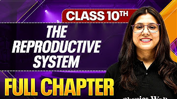 THE REPRODUCTIVE SYSTEM Complete Chapter In One Shot ( Theory + PYQs ) | Class 10 ICSE Board