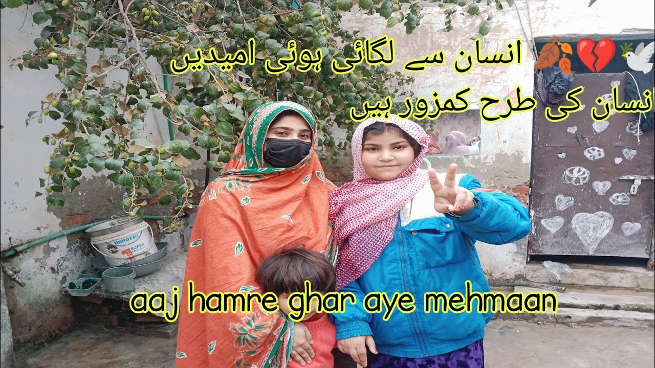 Insaan se lagayi hui umeed insan ke tarh kamzoor hain || aaj hamre ghar aye mehman 🏠