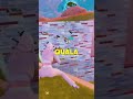 Predykcje heatowe #fortnite