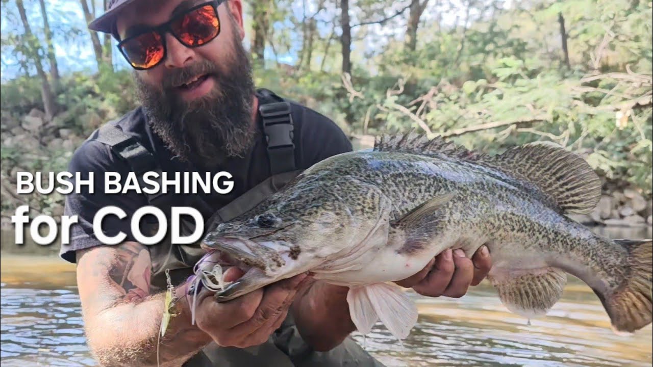 Catching Bush Bush bashing for cod - YouTube