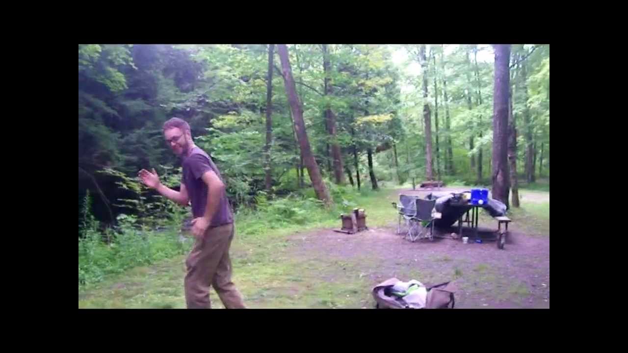 watch the forest for free watch the forest for free