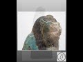 Egyptian Green Faience Goddess Thoeris (Thoueris)