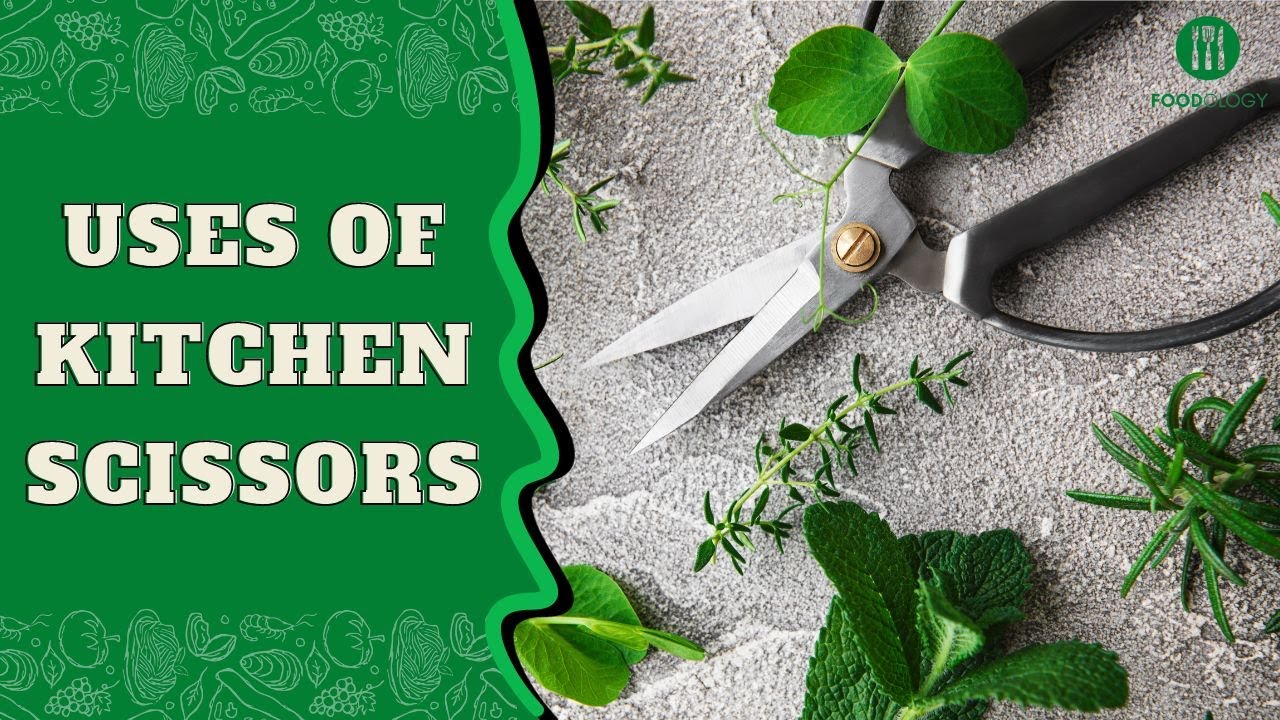How to Use Kitchen Scissors - YouTube