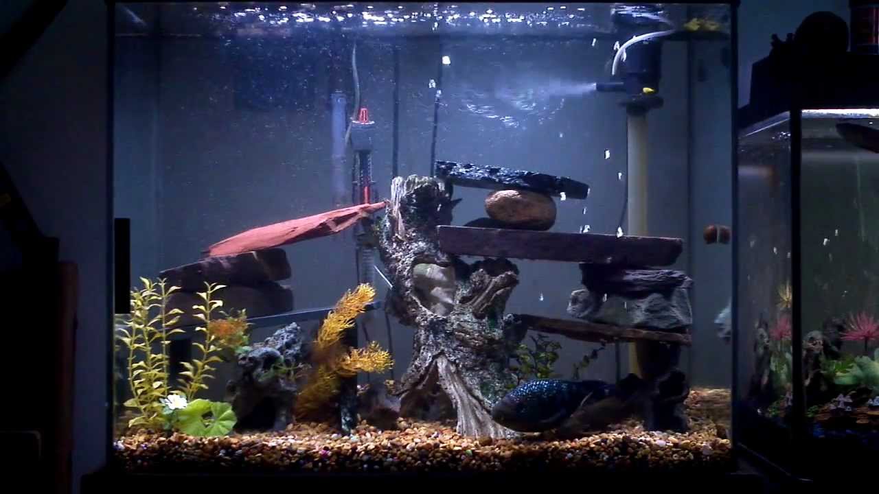 37G Jack Dempsey tank HD YouTube