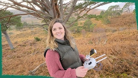 Drone Mapping at our Scottish Rainforest Restoration Project! | VLOG