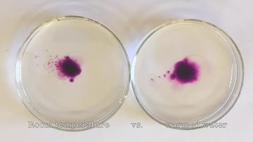 Diffusion Experiment