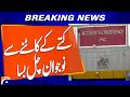 Young Man D!es Following Dog Attack | Breaking News | Geo News