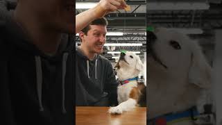 ASMR Mac Cronch #shorts