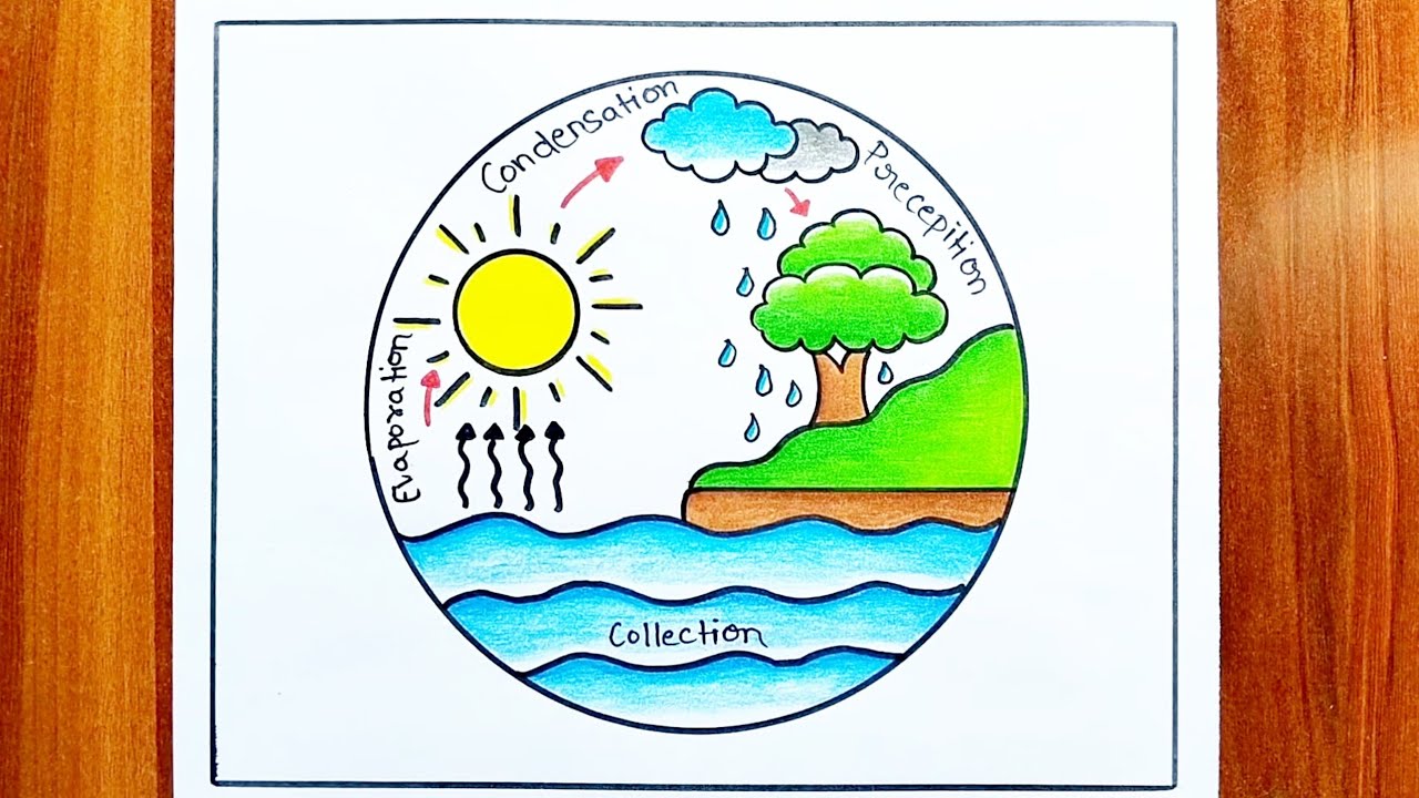 Water Cycle Project / Water Cycle Diagram / Water Cycle Easy Drawing / How To Draw Water Cycle 