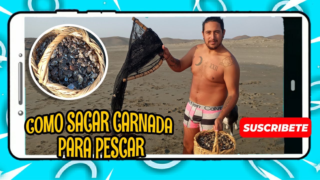 Como Sacar Carnada Para Pescar - Muy Muy o Cebo - Carnada de Pesca ...