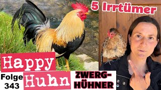 5 Irrtümer über Zwerghühner aufgedeckt! HAPPY HUHN E343 #hühnerhaltung #hühnerzucht #zwerghühner