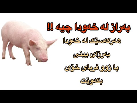 مانای بینینی بەراز لە خەودا بزانە