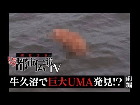 Movies  いばキラTV