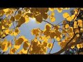 Capture de la vidéo Eric Chiryoku - || Autumn Journey (Mv)
