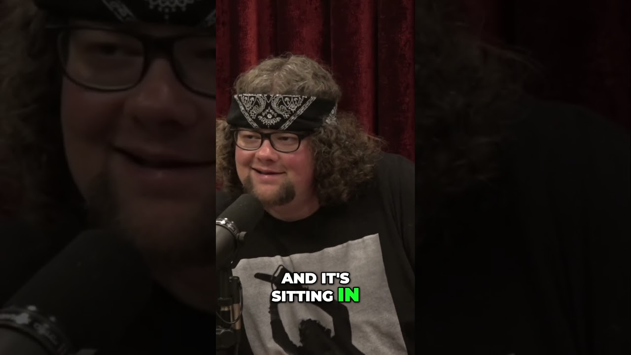 King Louis XIV's Heart: Eaten by William Buckland!