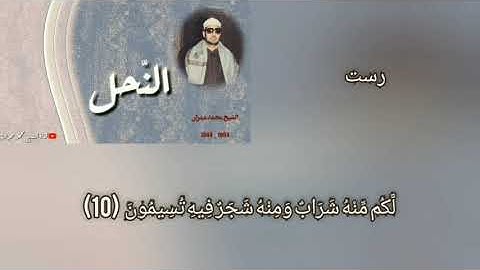 الشيخ محمد عمران سورة النحل مقام رست بشاير دلنشين