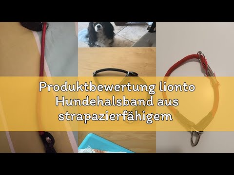 Produktbewertung lionto Hundehalsband aus strapazierfähigem Nylon für Hundetraining, Länge 50 cm, 1