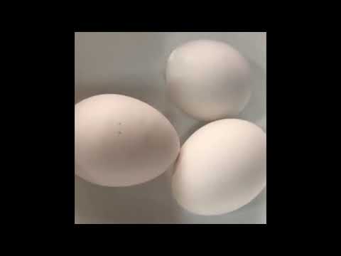 الالبا علي طريقتي لذيذه بنت السمحان 