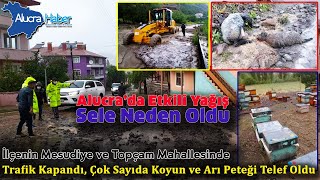 Giresunun Alucra İlçesinde Sel Afeti Yaşandı